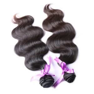 Remy 100 Human Natural Cuticle Aligned Virgin Hair Extension