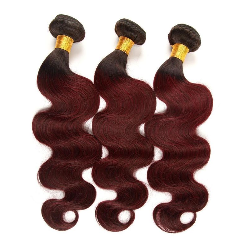 Smooth and Soft Brazilian Women Curly Weave Closure Raw Hair Coloured Bundles
