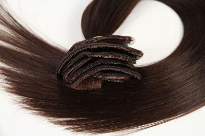 Clip on Human Hair Extensions Brazilian Virgin Hair Clip in Hair Extensions 18&quot;