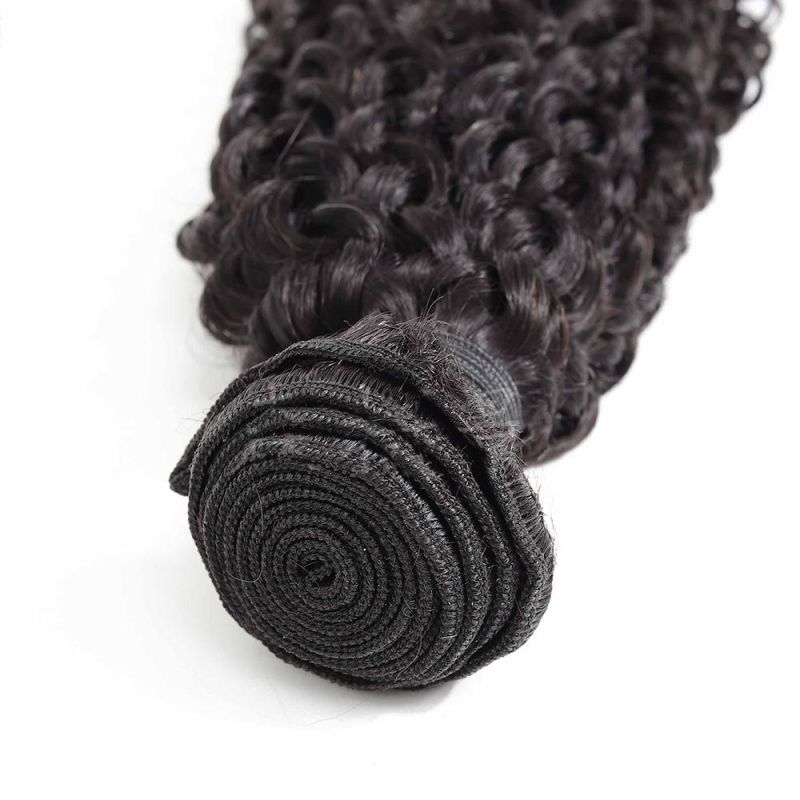 Curly Hair Bundles Processed Hair Bundles Vendors Hair Bundles Wraps
