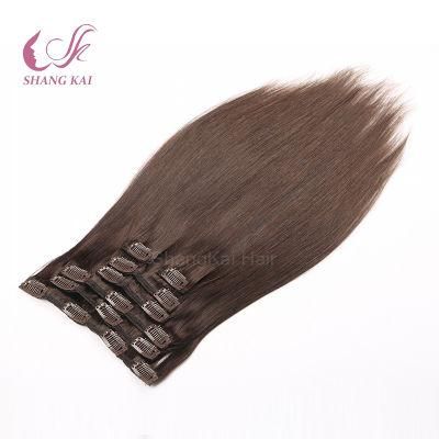 100% Remy Hair Extensions Clip in Human Hair Clip in Extensions