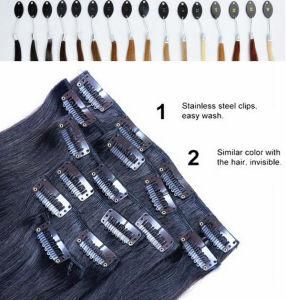 Kinky Straight Clip in Human Hair Extensions
