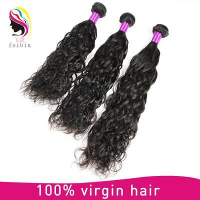 Top Quality Hair Extension Virgin Brazilian Human Hair