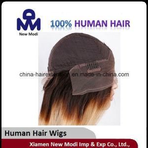 Brazilian Human Hair 100% Human Hair Human Wig