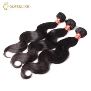 Raw Virgin Cuticle Aligned 12A Mink Brazilian Human Hair Weave