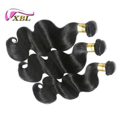 No Shedding Tangle Free 100% Brazilian Virgin Human Hair Weave