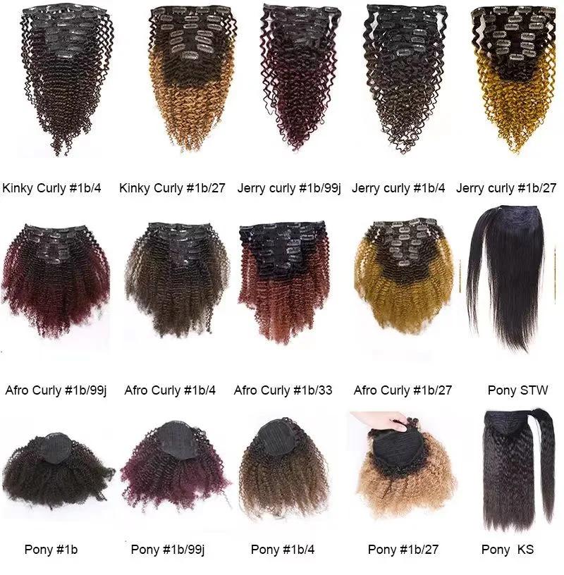 Factory Wholesale Cheap Fan Wig Afro Short Kinky Curly Brazilian Human Hair Wigs for Black Women
