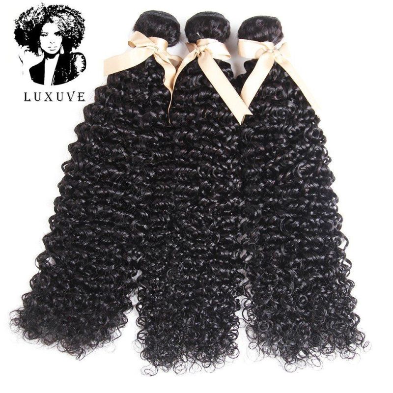 Luxuve Remy Human Virgin Jerry Curly Hair Bundles for Black Cuticle Aligned Hair Virgin Brazilian Jerrly Curly Hair