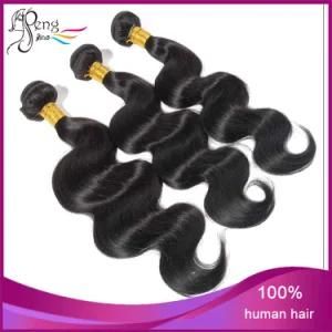 Hot Indian Unprocessed Human Hair Brazilian Virgin Hair Body Wave