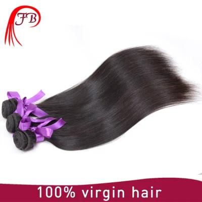 100% Virgin Human Hair Mongolian Hair Extension Silky Straight Hair