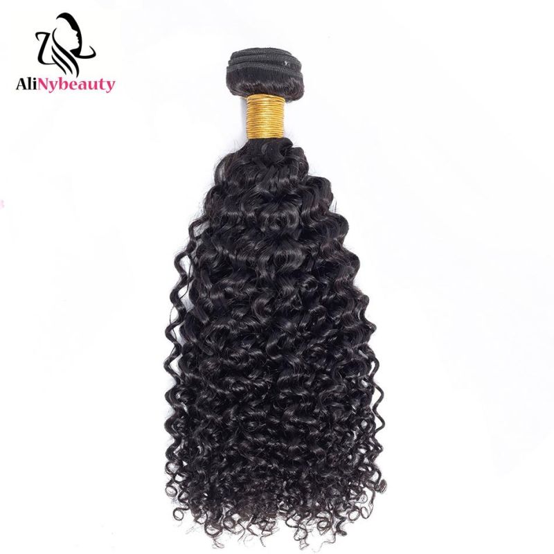 Alinybeauty Best Selling Grade 10A Malaysian Jerry Curly Brazilian Hair