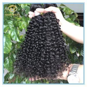 Top Quality Unprocessed Natural Black Jerry Curly 8A Grade Peruvian Human Hair in Full Cuticle Cut From One Donor with Factory Price Wfp-050