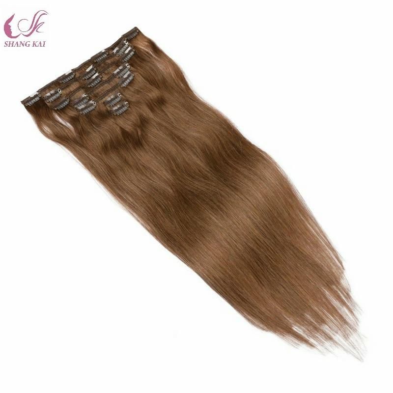 High Quality 100% Remy Human Hair Clip in Extension Human Hair Extension