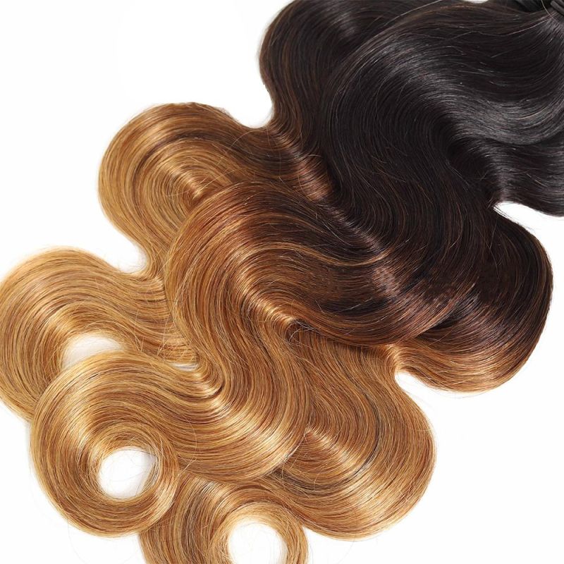 Free Sample Raw Hair Bundles Virgin Brazilian Wholesale Bundles Virgin Hair Colored Human Hair with Closures