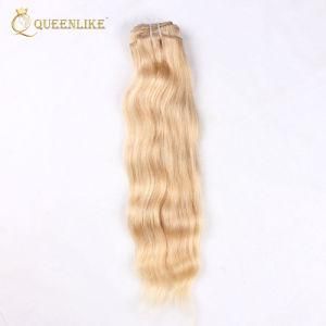 High Quality Pure Raw Natural Virgin Human Hair