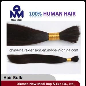 Human Hair Brazilian Straight Hair Bulk