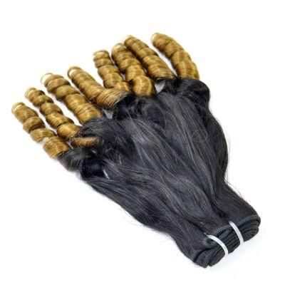 China Ombre Human Supplier/Professional Ombre Human Hair
