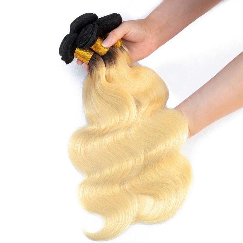 T1b/Blonde 613 Brazilian Human Hair Bundles with Lace Closure