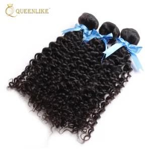 Brazilian Kinky Curly Wholesale Human Hair Weave