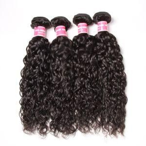Water Wave Braiding Hair Brazilian Virgin Hair Human Hair Weaving