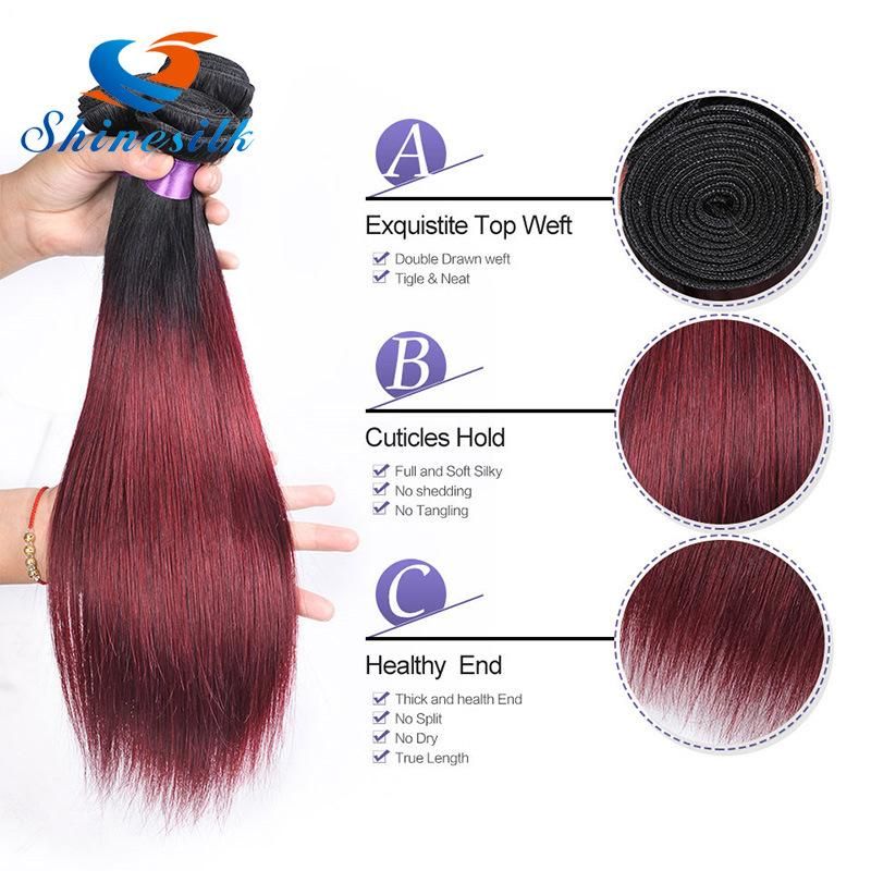 Remy Hair 1b 99j Burgundy Indian Straight Virgin Hair 4PCS Bundles Ombre Straight Indian Human Hair Extensions