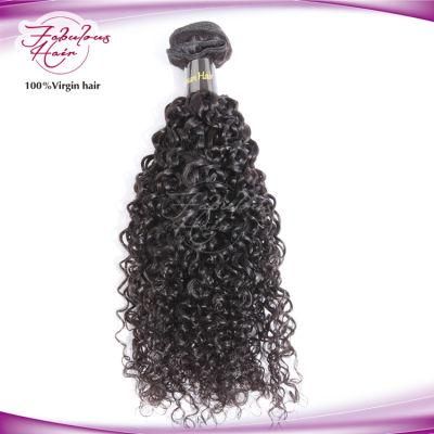 Top Quality 100% Human Virgin Hair Curly Hair