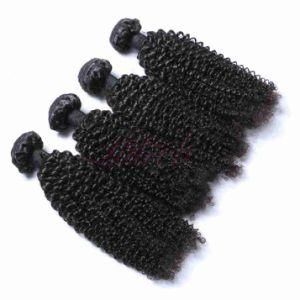 Malaysian 100% Unprocessed Human Hair Weft