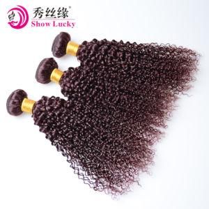 100% Jerry Curly Virgin Hair Extensions Wholesale Red 99j Peruvian Human Hair