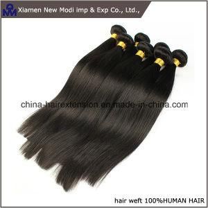 China Human Hair Brazilian Human Hair Weave