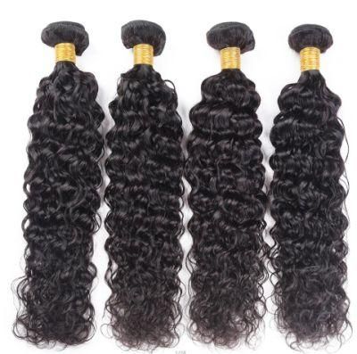Top Quality Water Wave Bundles for Women