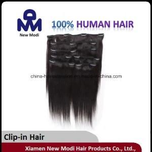 Top Quality Brazilian Virgin Human Clip in Human Hair