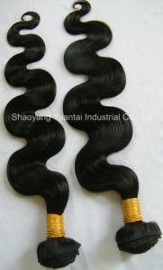 Body Wave Brazilian/Chinese/Malaysian Virgin Human Hair Weft (Weaving Bundle) Extension