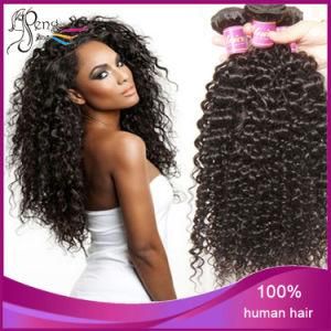 Virgin Kinky Curly Human Hair Extension