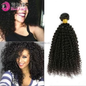 Wholesale Malaysian Virgin Hair Curly Weft 100% Cuticle Hold Remy Malaysian Kinky Curl Hair Bundles