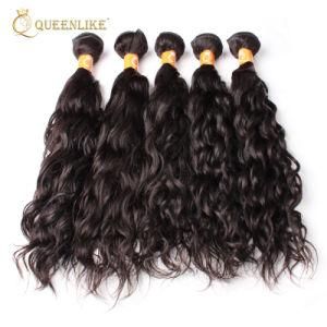 Raw Indian Water Wave Virgin Cuticle Aligned Human Hair Weaving