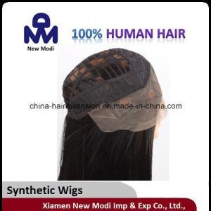 Fashion Straight Synthetic Women Wig