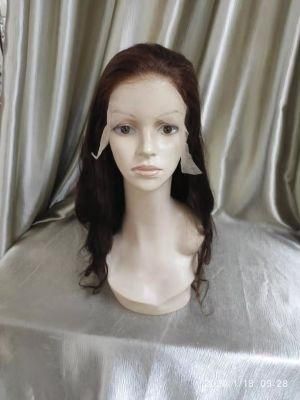 Mink Brazilian Human Hair Colored Lace Frontal Wigs