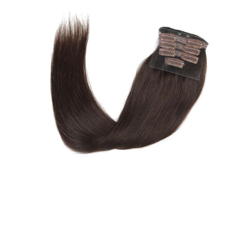 Clip on Human Hair Extensions Brazilian Virgin Hair Clip in Hair Extensions #2