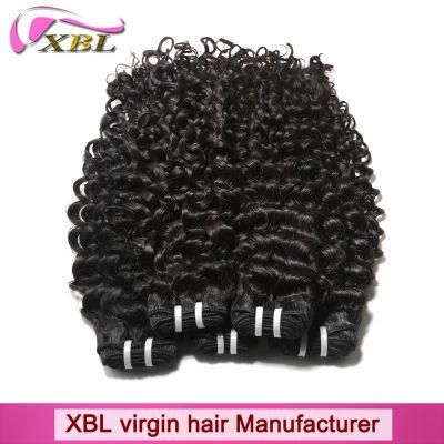 Xbl Brand Human Hair Cheap Jerry Curly Closures