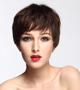 Short Human Hair Wig