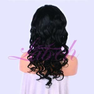 Loose Wave Brazilian Virgin Human Hair Wigs