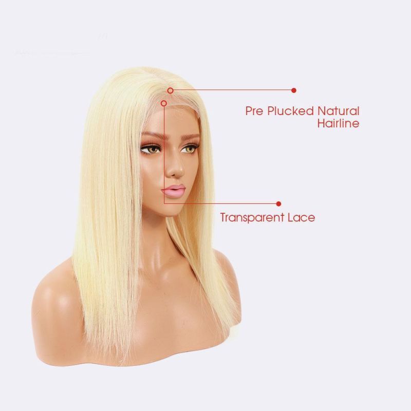 Good Price Preplucked Full Lace Wigs Virgin Hair 180 Density Lace Wig 613 Wig HD Lace Wig