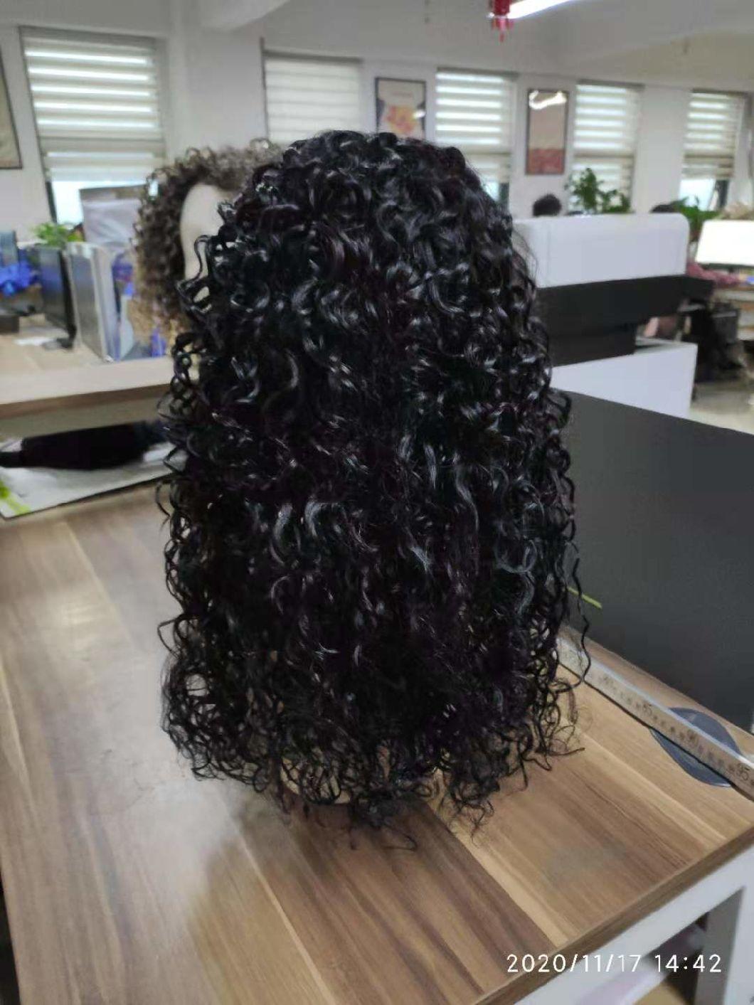Natural Hair Brazilian Human Hair Wavy Lace Wigs