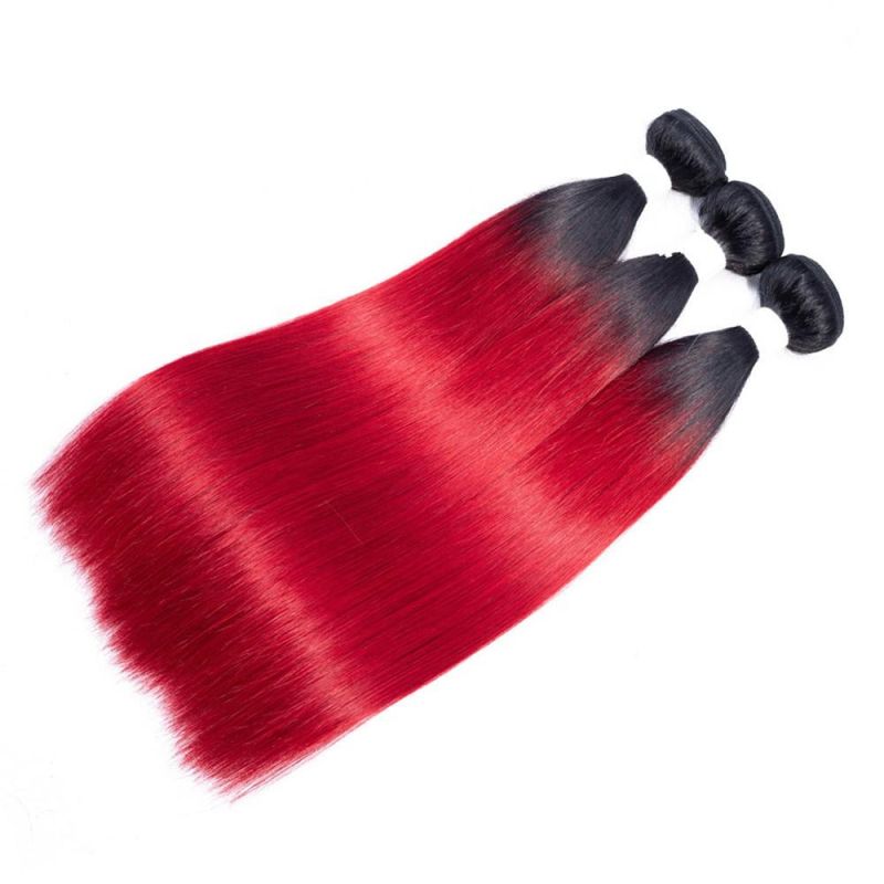 100% Virgin Indian Remy Hair Braiding Hair Human Hair