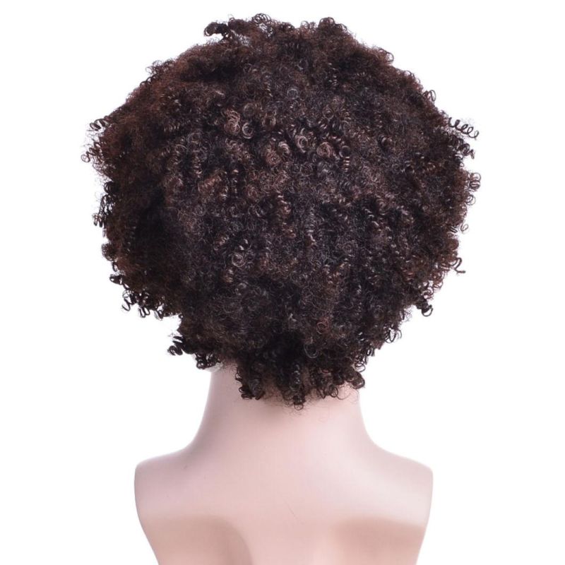 Kinky Curly Synthetic Short Wigs for Men′s Daily Wig Mixed Male Curly Natural Cosplay Hair Heat Resistant Breathable Men Wig Toupee
