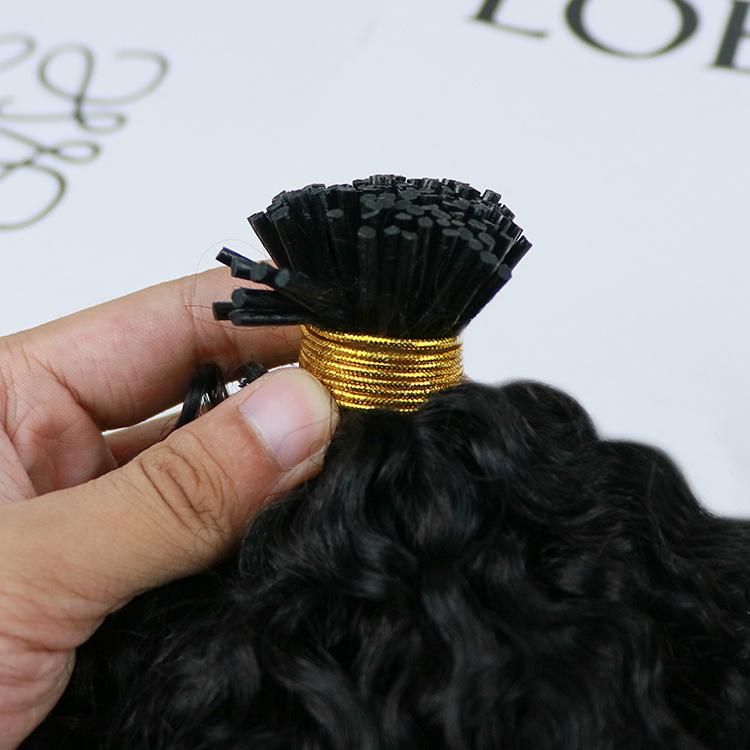 Wholesale Virgin Remy Curly I Tip Hair Extension Cuticle Aligned Raw Burmese Hair