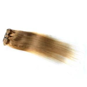 Virgin 6A Clip in Hair Piano Color Indian Human Hair Extension