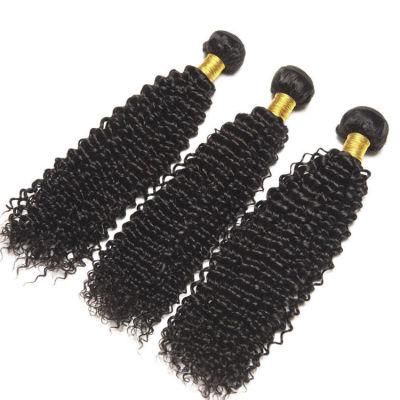 Cuticle Aligned Indian Curly Hair, Natural Hair Raw Burmese Curly Hair, Curly Brazilian Hair