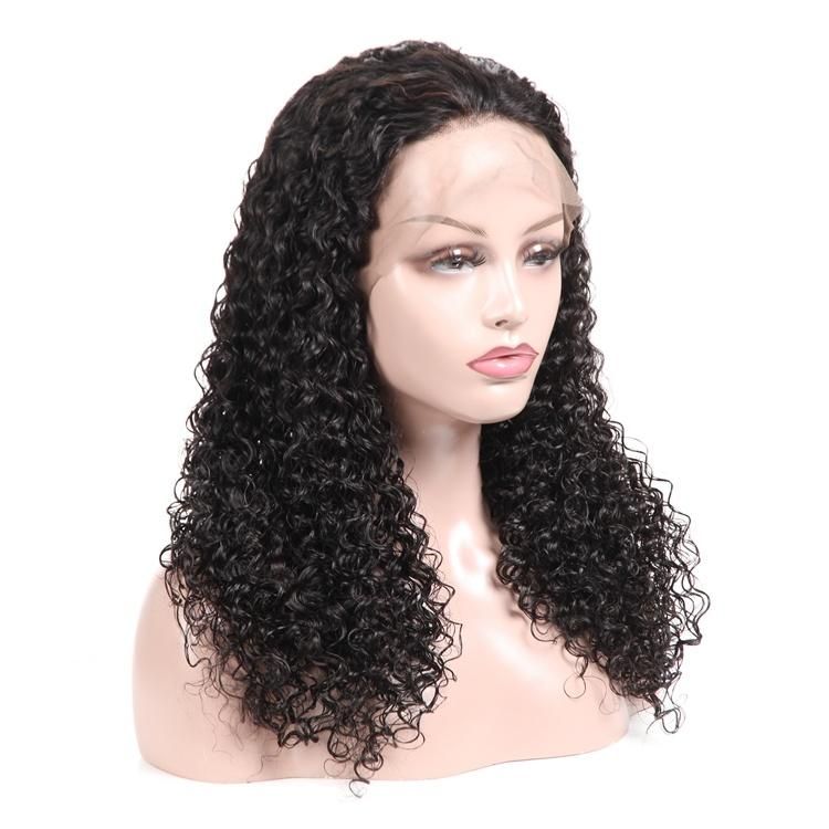 Jerry Curly Lace Front Transparent Lace Wig