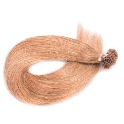 Remy Hair Extensions U-Tip Human Hair 22inches